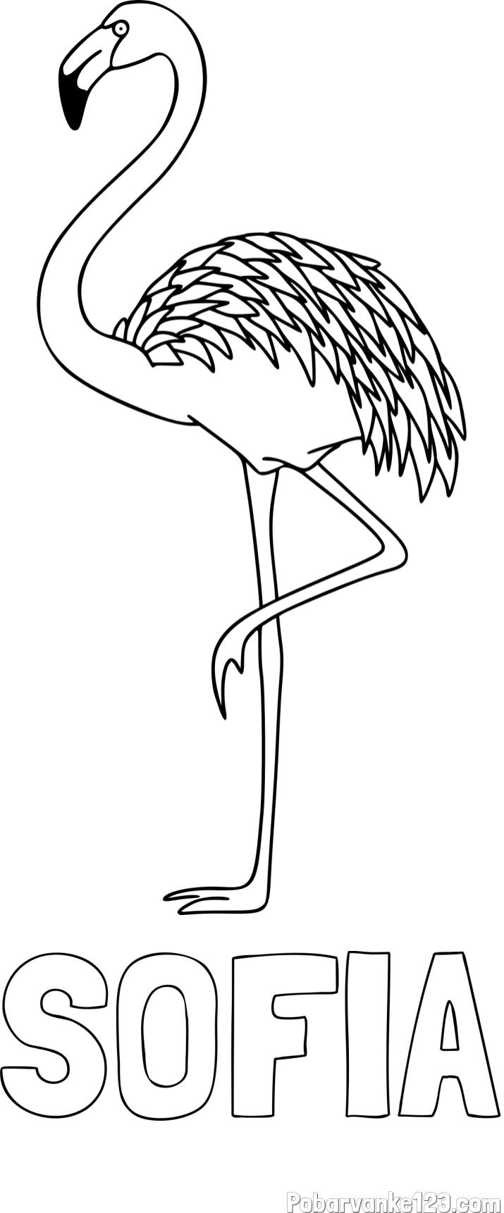 Pobarvanka imena SOFIA in pobarvanka flaminga, ki stoji na eni nogi