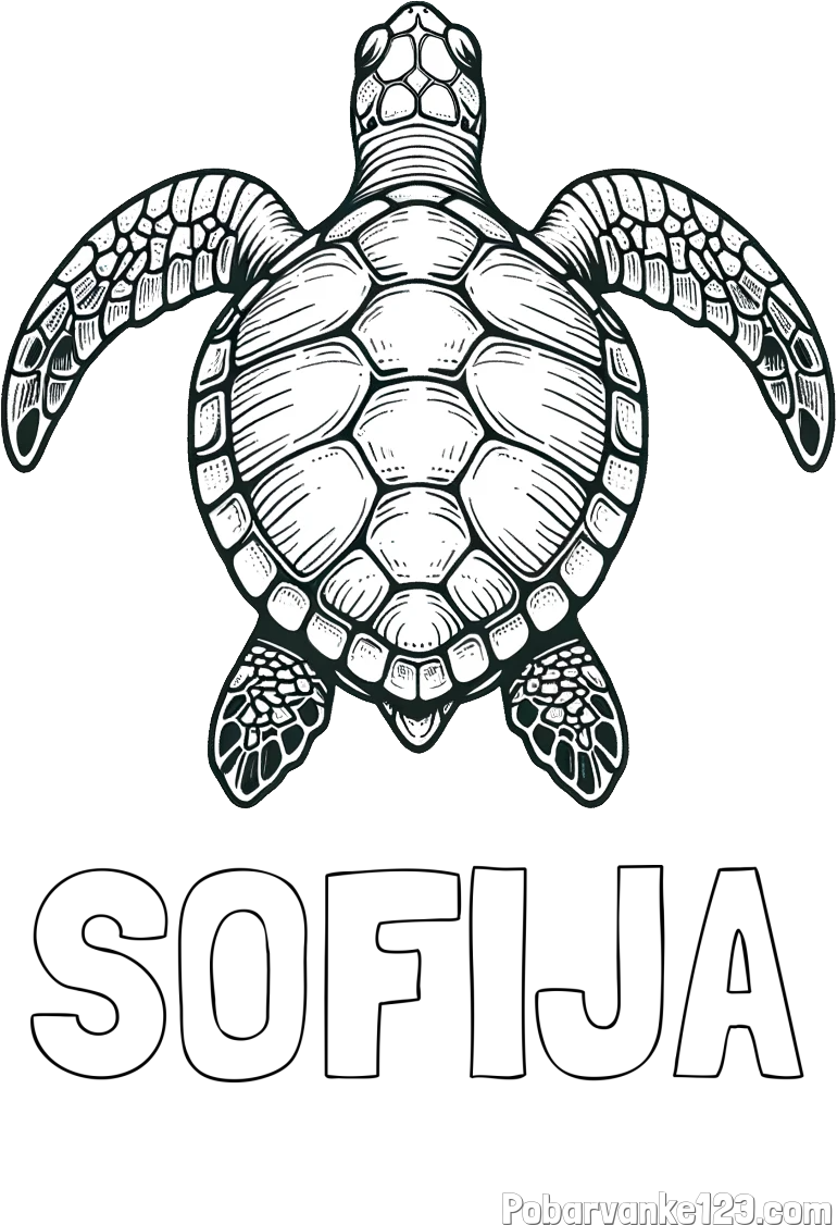 Pobarvanka imena SOFIJA in enostavna pobarvanka želve