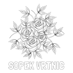 Online izdelana pobarvanka - Pobarvanka imena ŠOPEK VRTNIC in pobarvanka šopka vrtnic