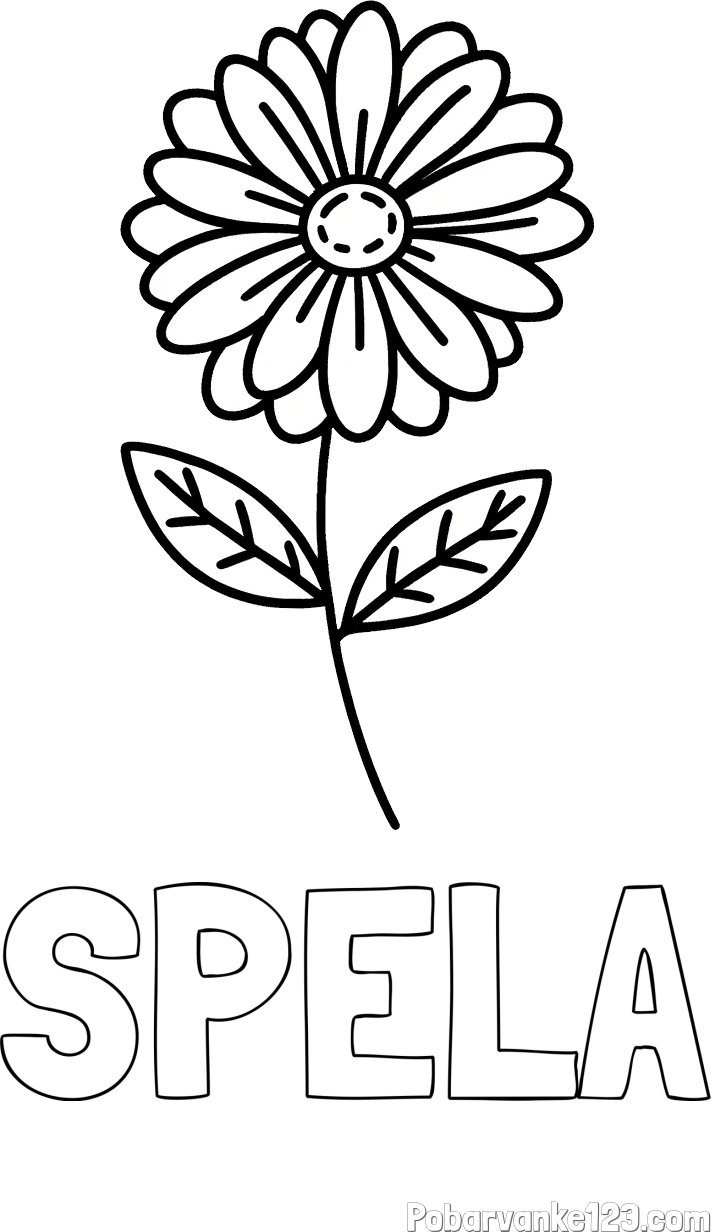 Pobarvanka imena ŠPELA in pobarvanka rožice