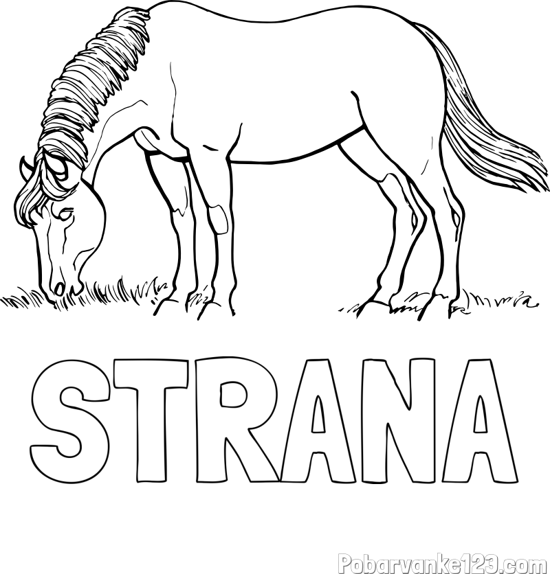 Pobarvanka imena STRANA in pobarvanka konja med pašo
