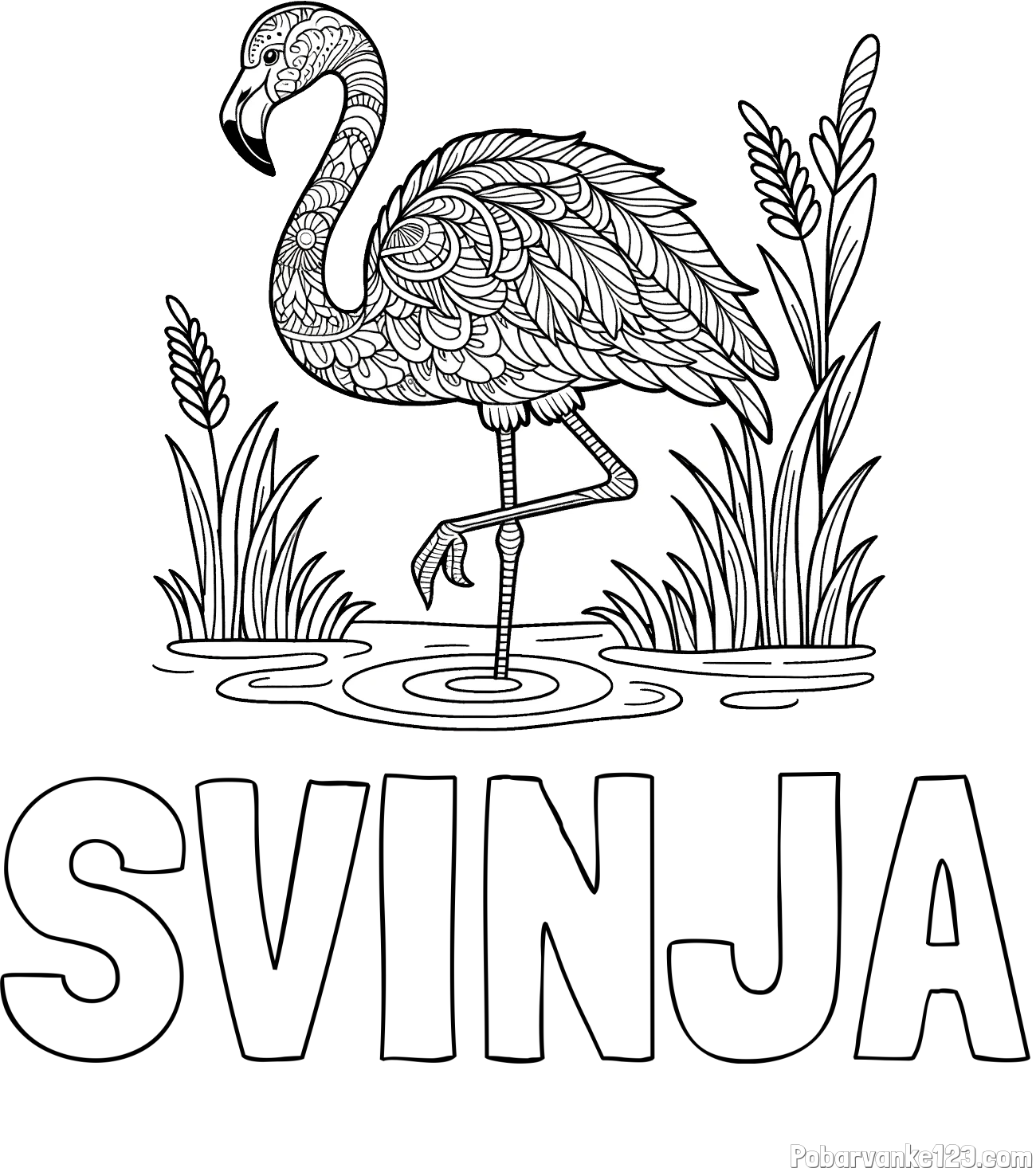 Pobarvanka imena SVINJA in pobarvanka flaminga z abstraktnimi vzorci