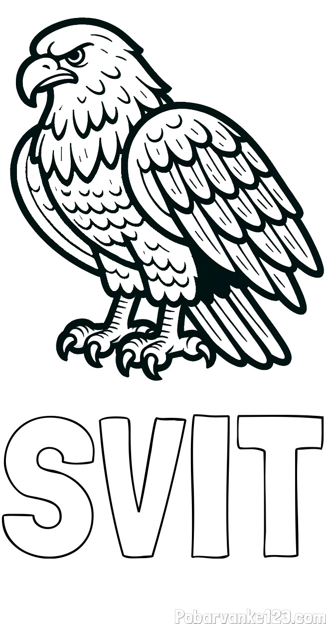 Pobarvanka imena SVIT