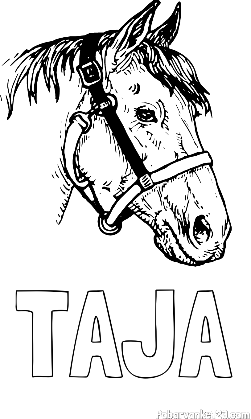 Pobarvanka imena TAJA in konjska glava