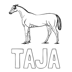 Pobarvanka imena TAJA in pobarvanka konja