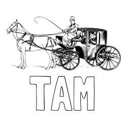 Online izdelana pobarvanka - Pobarvanka imena TAM in pobarvanka konja in kočije