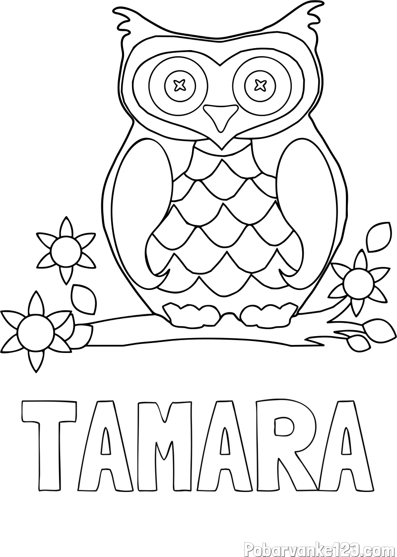 Pobarvanka imena TAMARA in pobarvanka sove