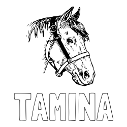 Online izdelana pobarvanka - Pobarvanka imena TAMINA in konjska glava
