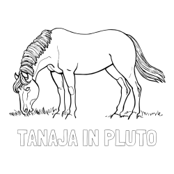 Online izdelana pobarvanka - Pobarvanka imena TANAJA IN PLUTO in pobarvanka konja med pašo