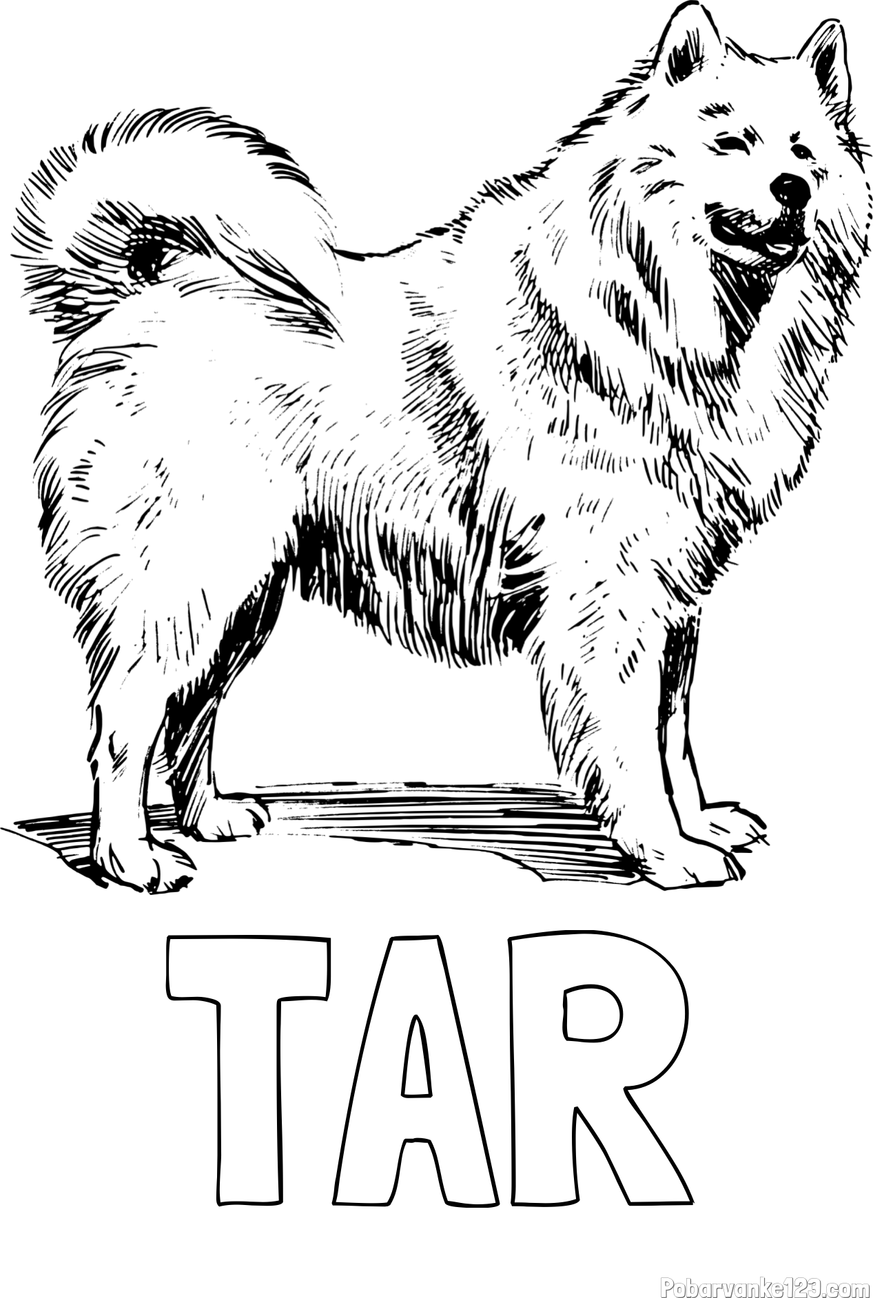 Pobarvanka imena TAR in pobarvanka čudovitega samojega