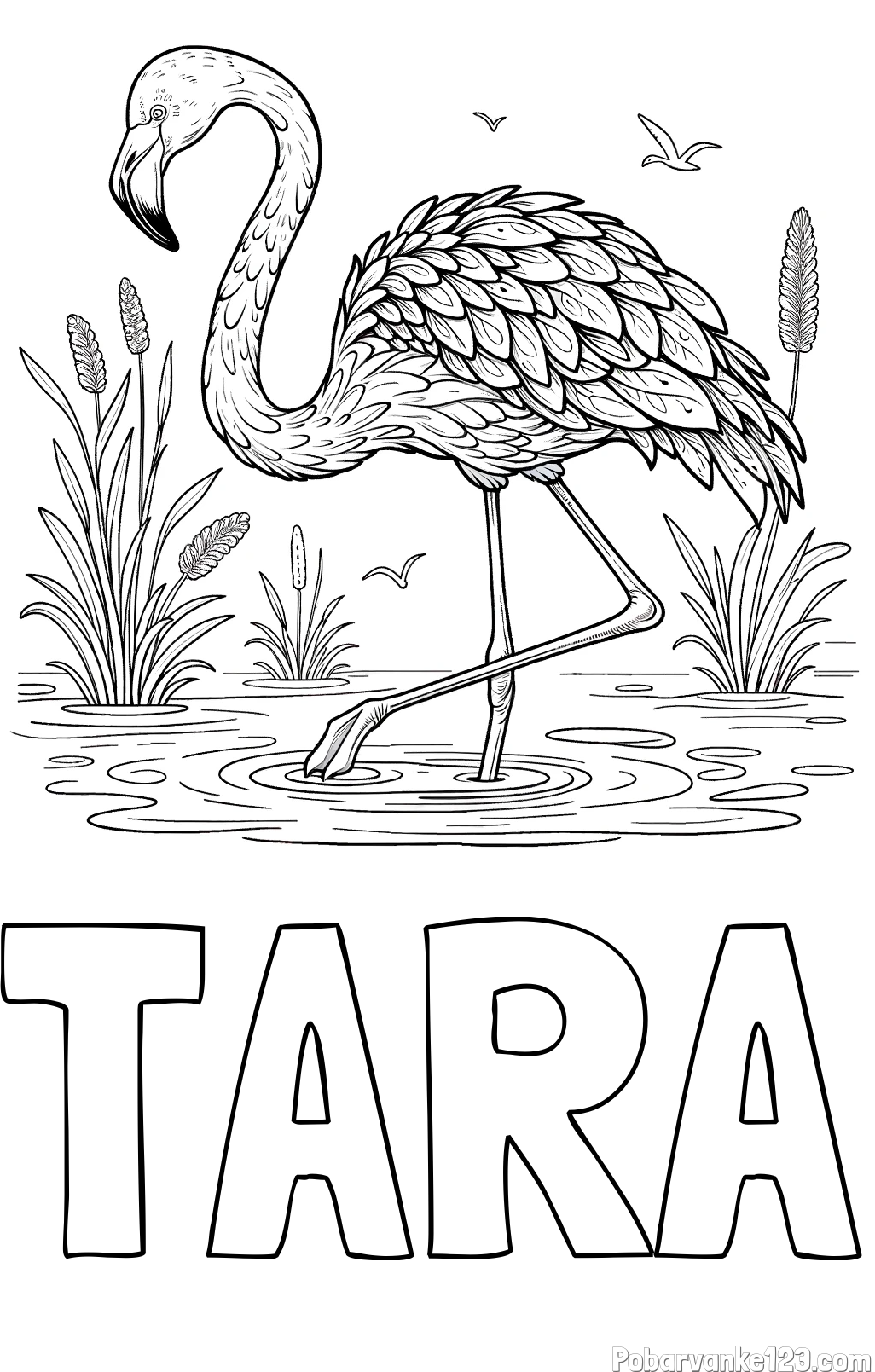 Pobarvanka imena TARA in pobarvanka flaminga v močvirju
