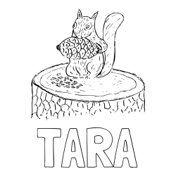 Online izdelana pobarvanka - Pobarvanka imena TARA in pobarvanka veverice, ki je storž