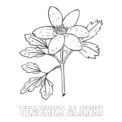 Online izdelana pobarvanka - Pobarvanka imena TEACHER ALENKI in pobarvanka marjetice