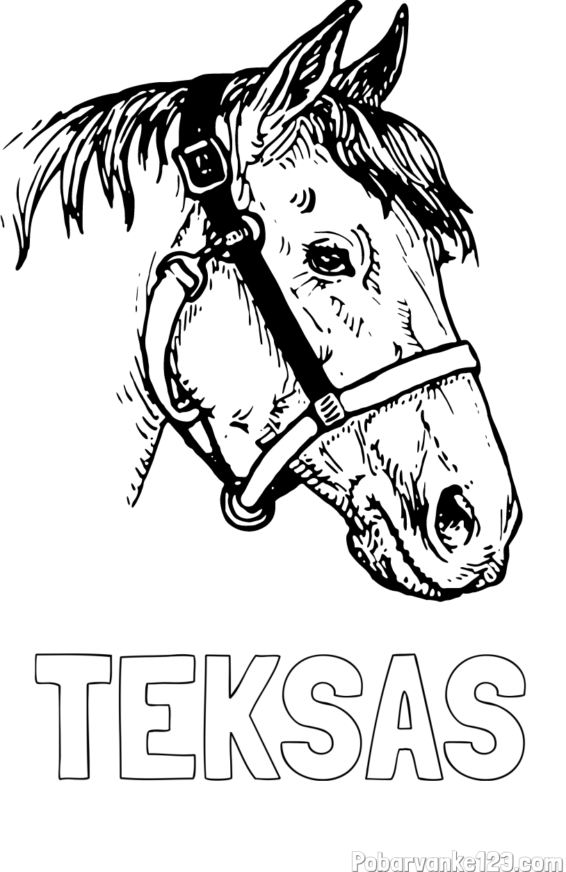 Pobarvanka imena TEKSAS in konjska glava