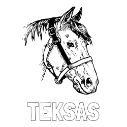Online izdelana pobarvanka - Pobarvanka imena TEKSAS in konjska glava