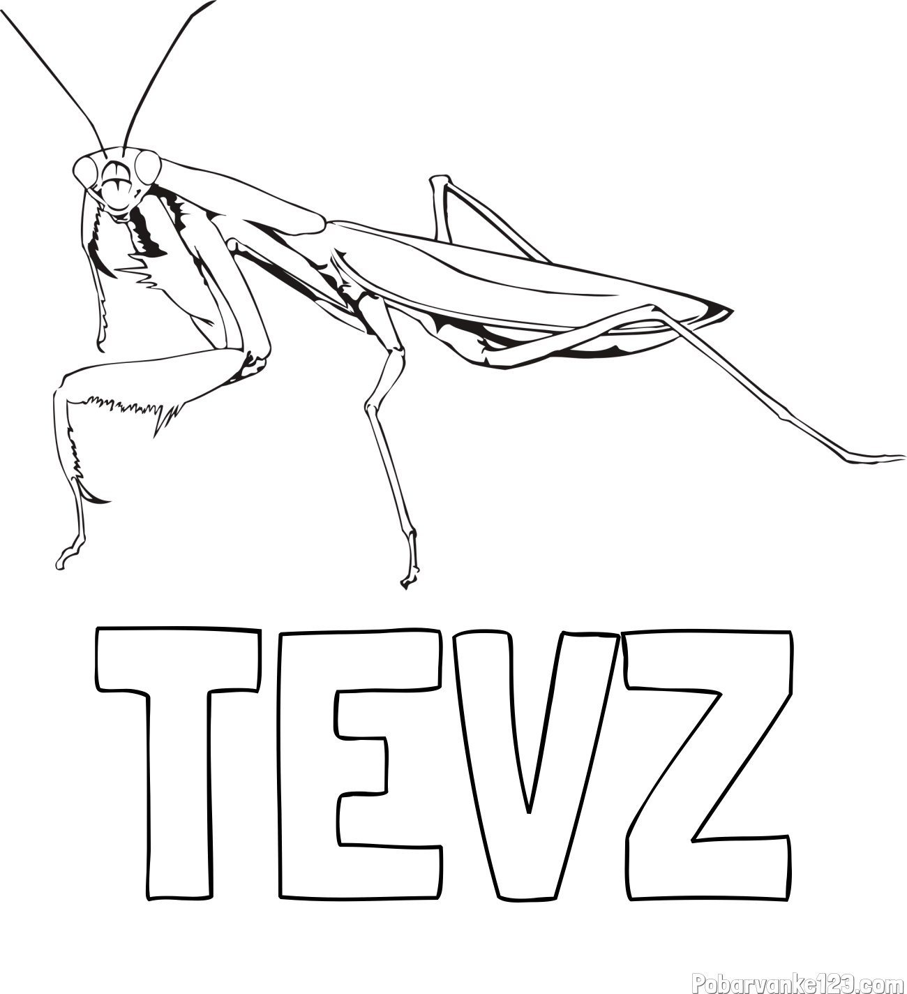 Pobarvanka imena TEVŽ in pobarvanka bogomolke