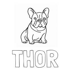 Online izdelana pobarvanka - Pobarvanka imena THOR in pobarvanka francoskega buldoga