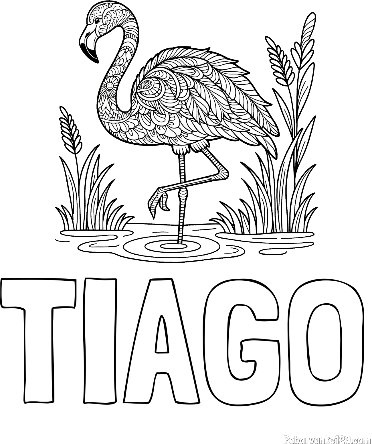 Pobarvanka imena TIAGO in pobarvanka flaminga z abstraktnimi vzorci