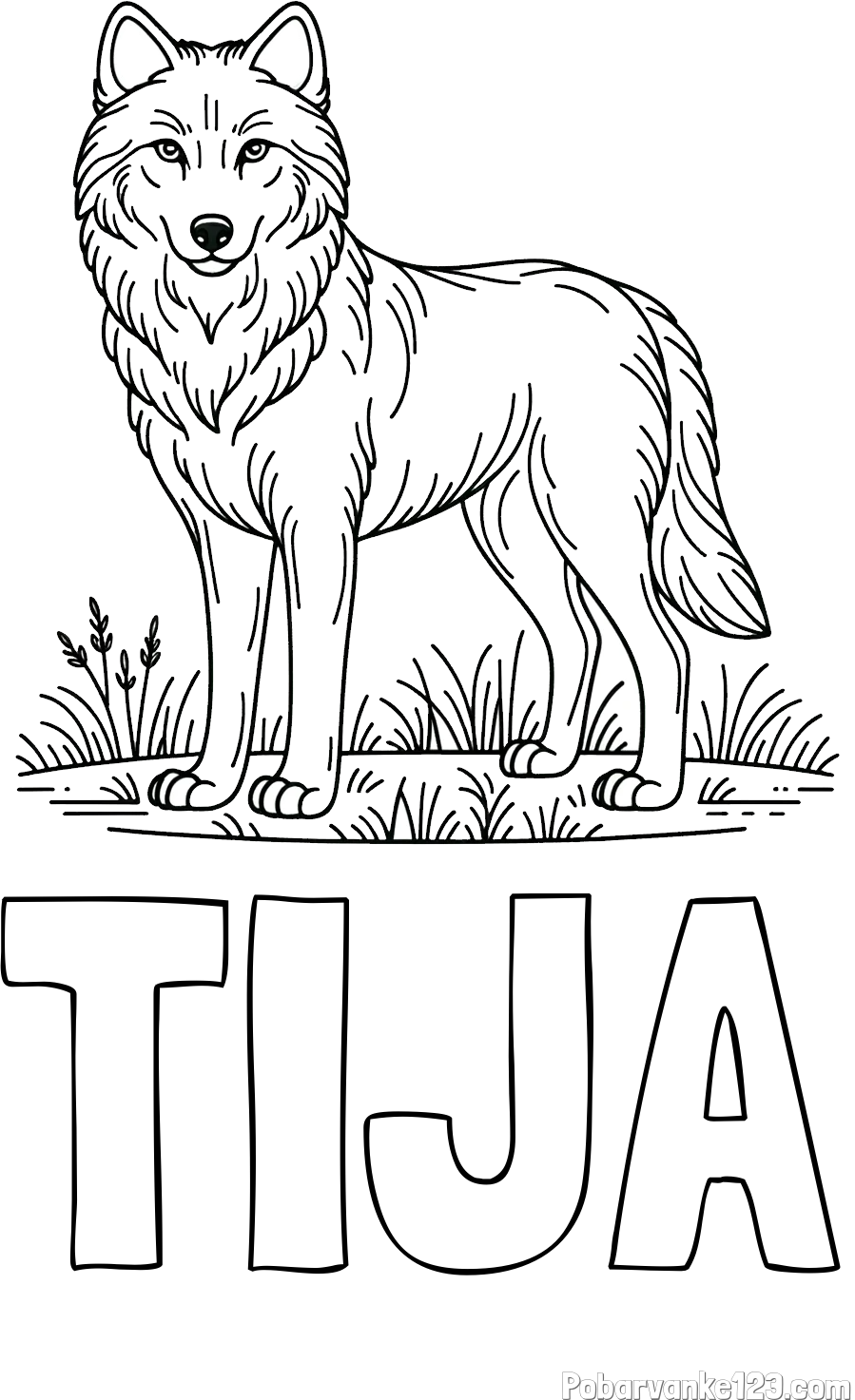 Pobarvanka imena TIJA in pobarvanka volka