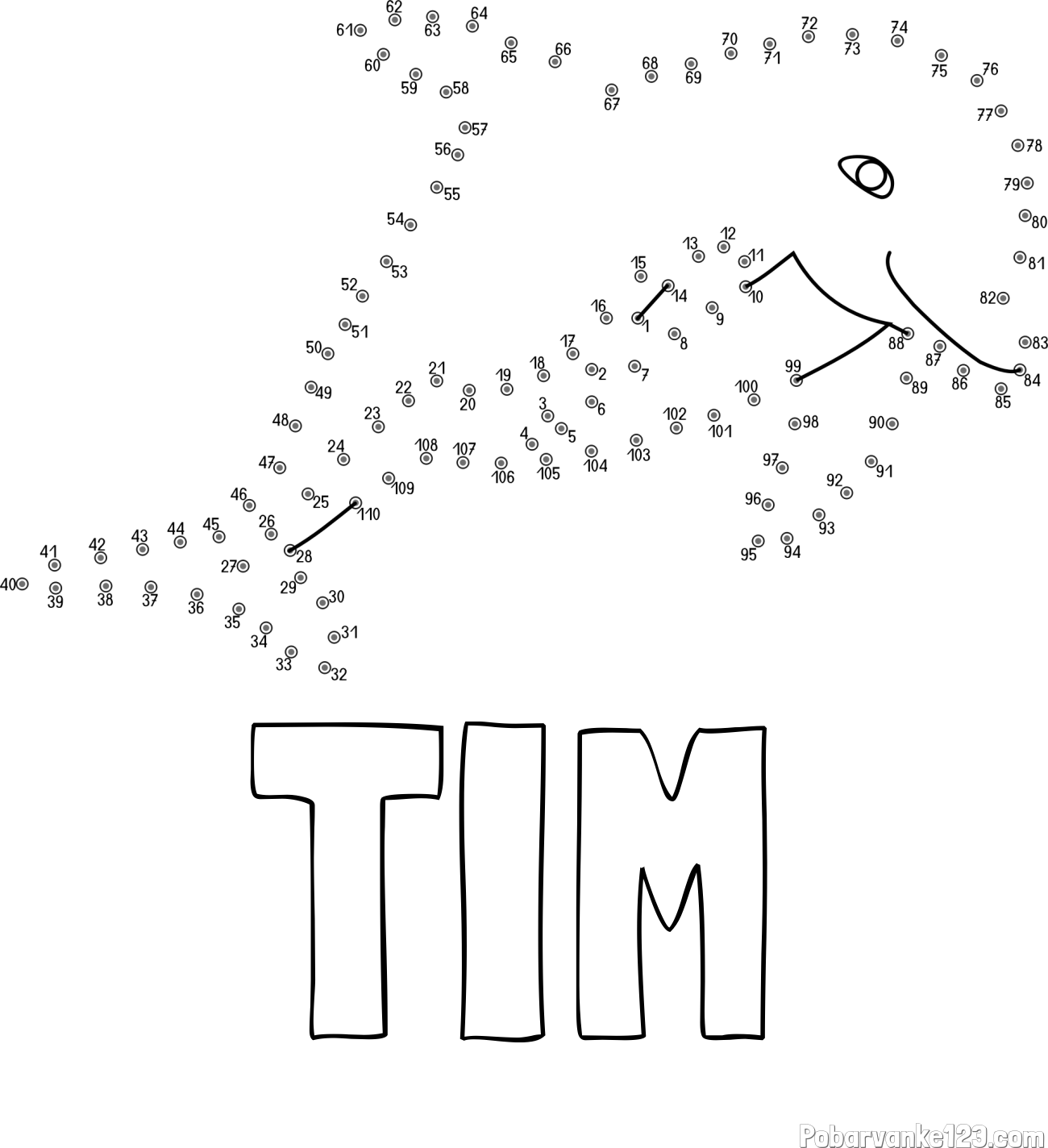 Pobarvanka imena TIM in pobarvanka delfina - poveži številke