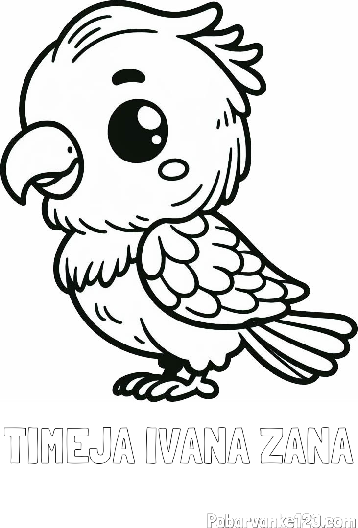 Pobarvanka imena TIMEJA IVANA ŽANA in pobarvanka ljubkega papagaja