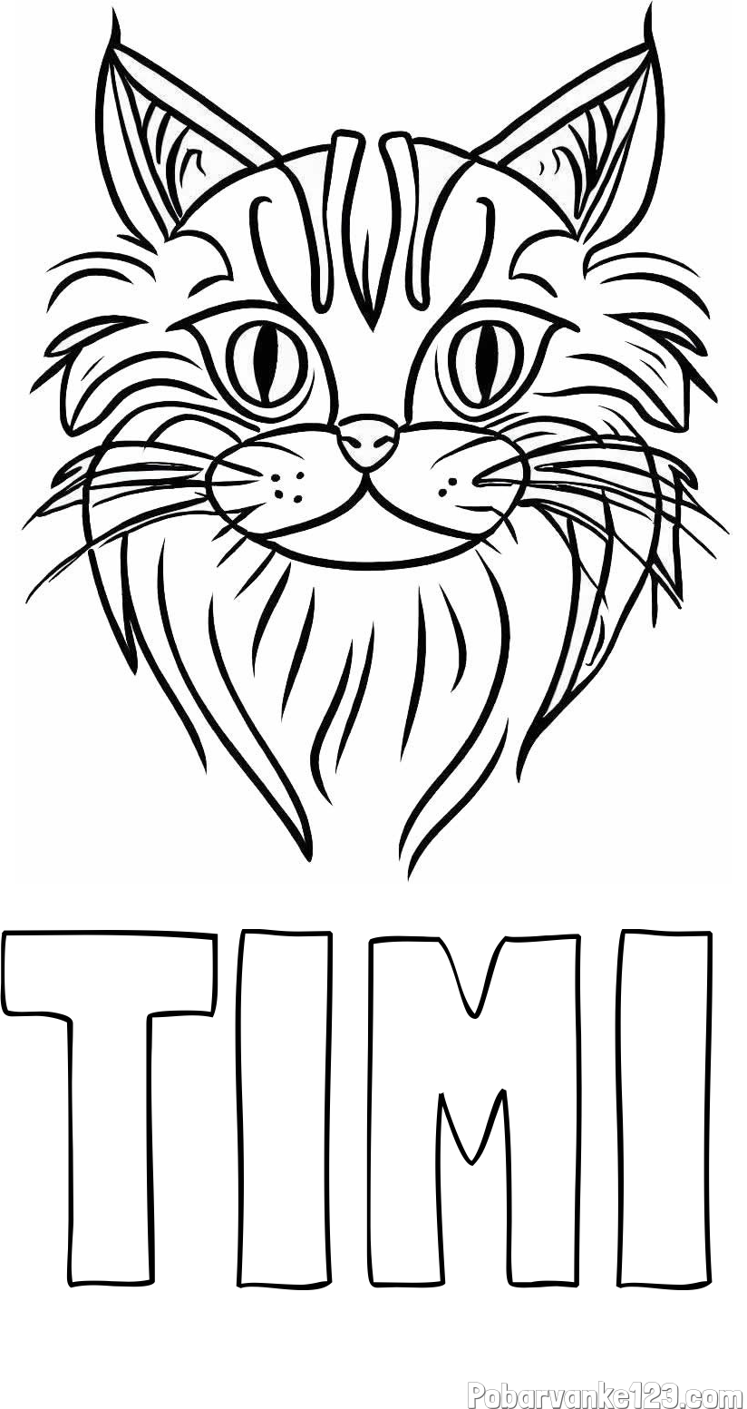 Pobarvanka imena TIMI in pobarvanka mačje glave