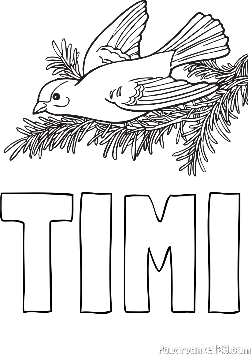 Pobarvanka imena TIMI in pobarvanka ptice na vejici