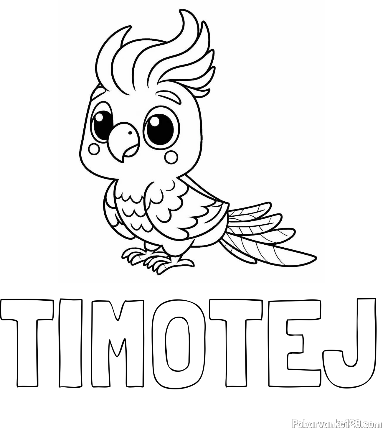 Pobarvanka imena TIMOTEJ in pobarvanka ljubke papige
