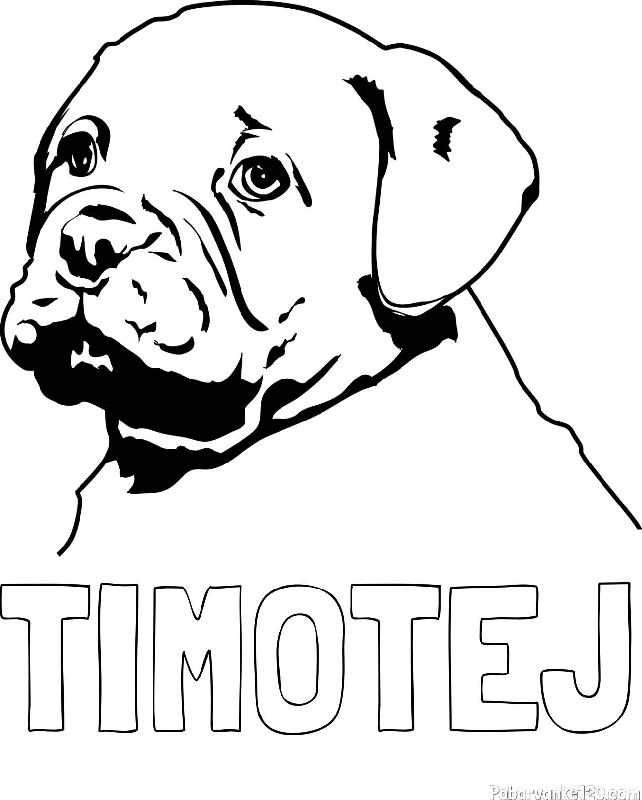 Pobarvanka imena TIMOTEJ in pobarvanka prikupnega bulldog mladička