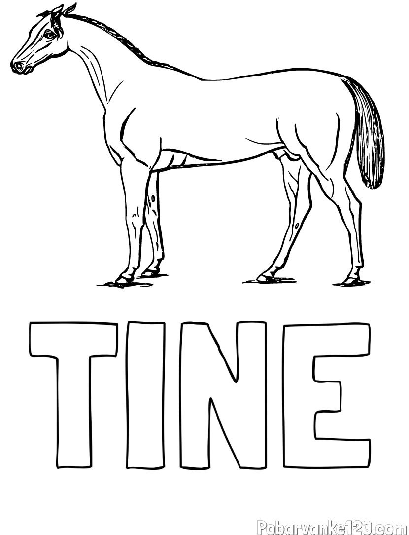 Pobarvanka imena TINE in pobarvanka konja