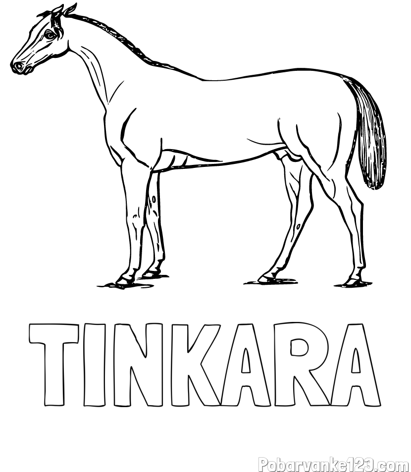 Pobarvanka imena TINKARA in pobarvanka konja
