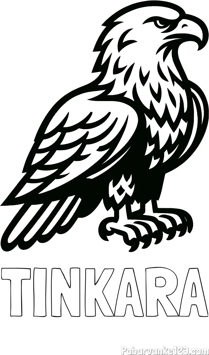 Pobarvanka imena TINKARA in pobarvanka  majhnega orla