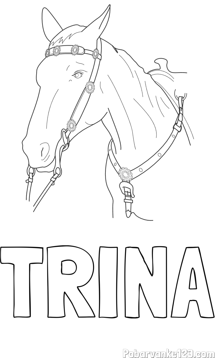Pobarvanka imena TRINA in pobarvanka konjske glave