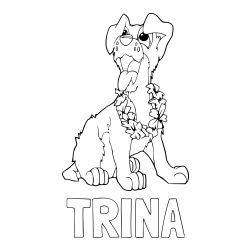 Pobarvanka imena Trina