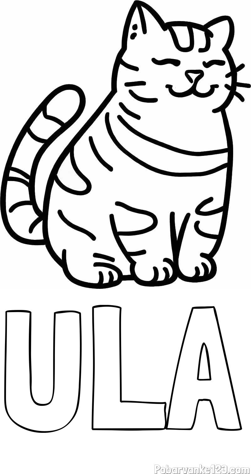 Pobarvanka imena ULA in pobarvanka debelušne mačke