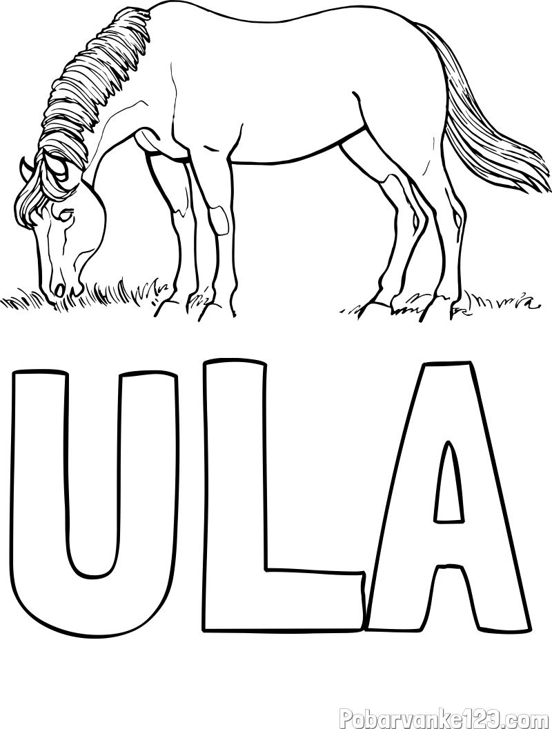 Pobarvanka imena ULA in pobarvanka konja med pašo