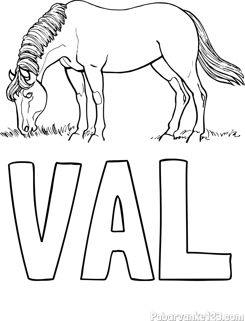 Pobarvanka imena VAL in pobarvanka konja med pašo