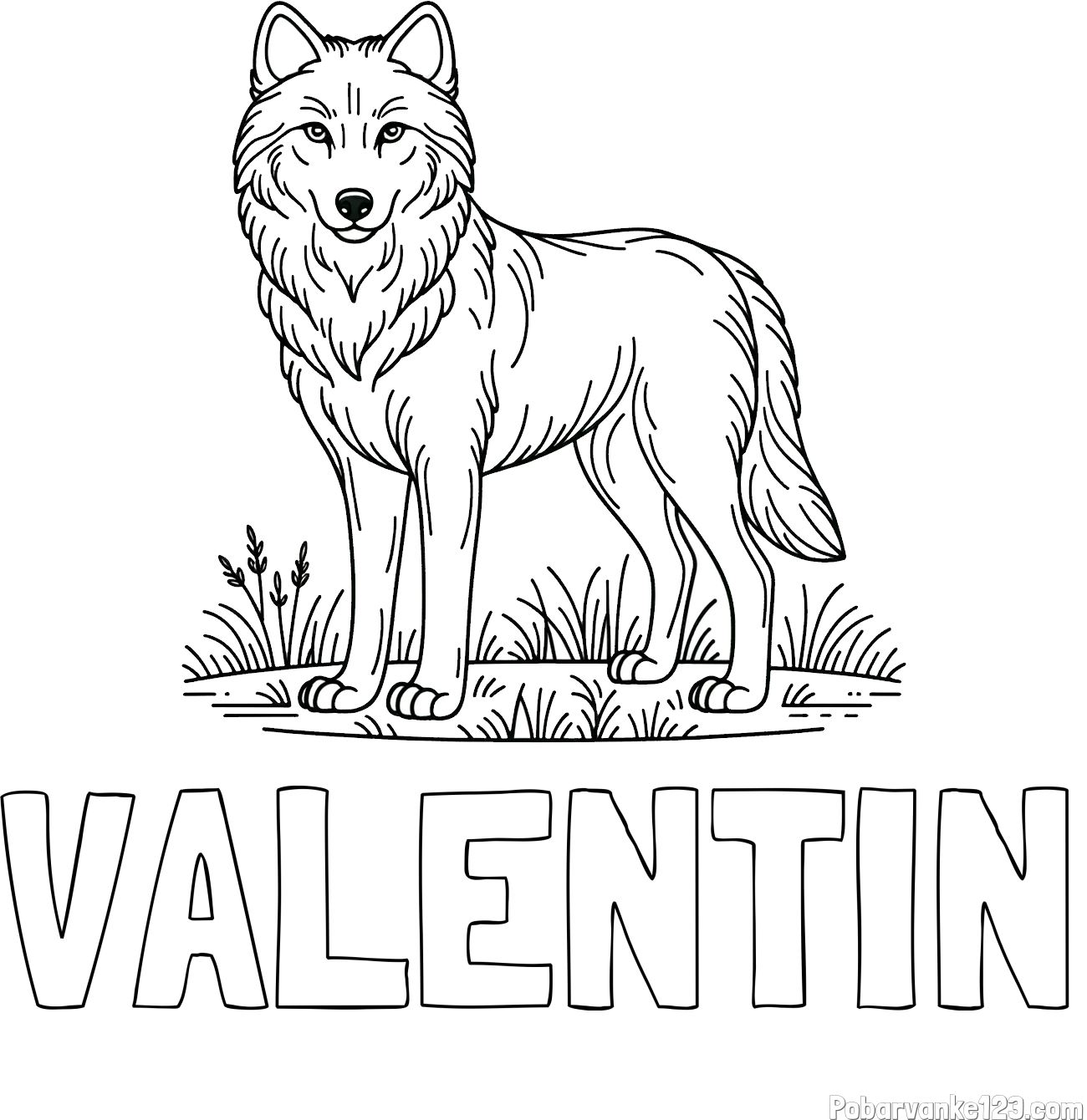 Pobarvanka imena VALENTIN in pobarvanka volka