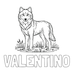 Online izdelana pobarvanka - Pobarvanka imena VALENTINO in pobarvanka volka