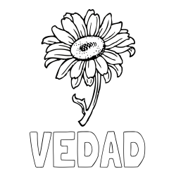 Online izdelana pobarvanka - Pobarvanka imena VEDAD in pobarvanka lepe sončnice