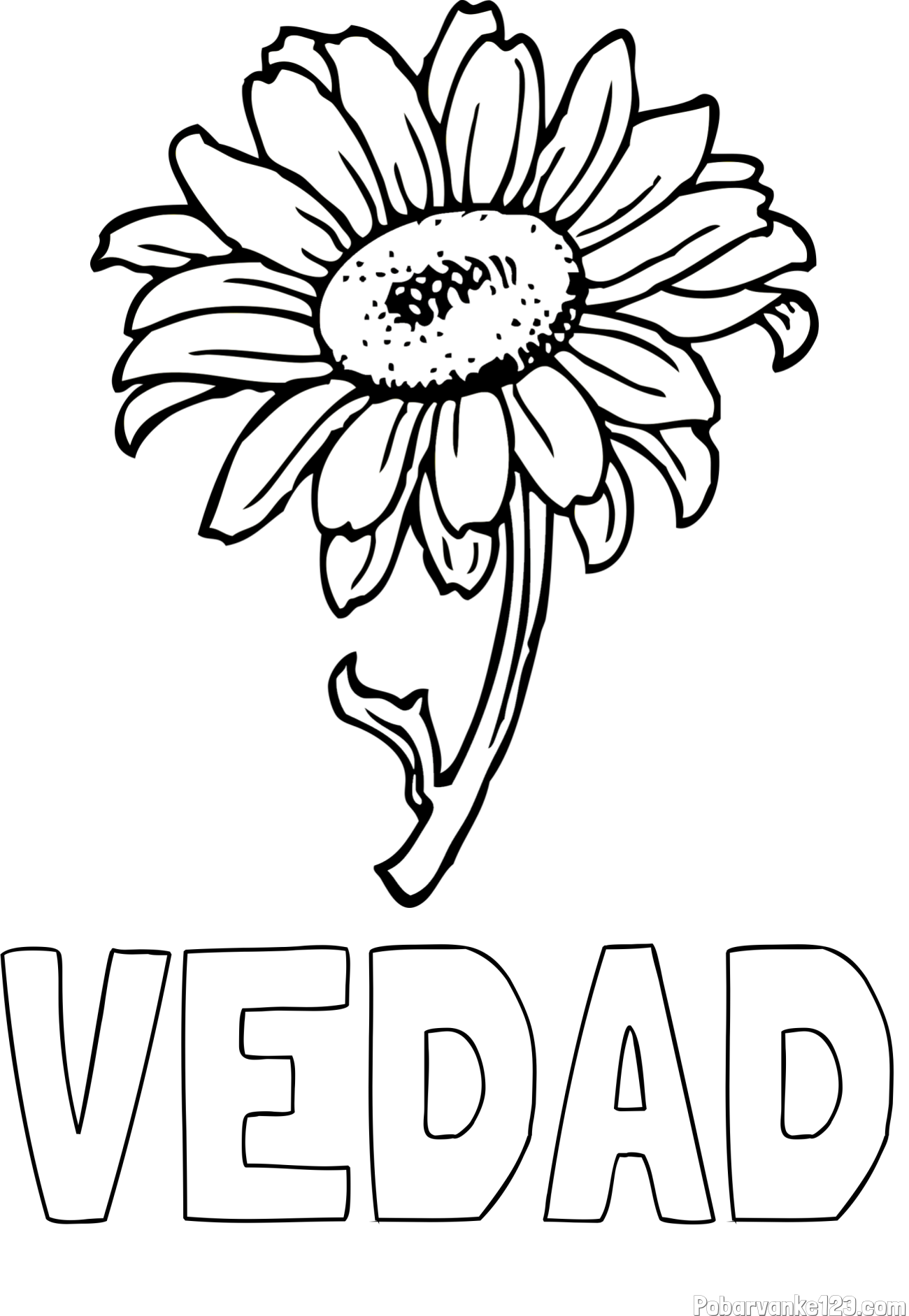 Pobarvanka imena VEDAD in pobarvanka lepe sončnice