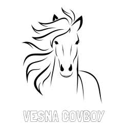 Online izdelana pobarvanka - Pobarvanka imena VESNA COVBOY in lepa pobarvanka konja