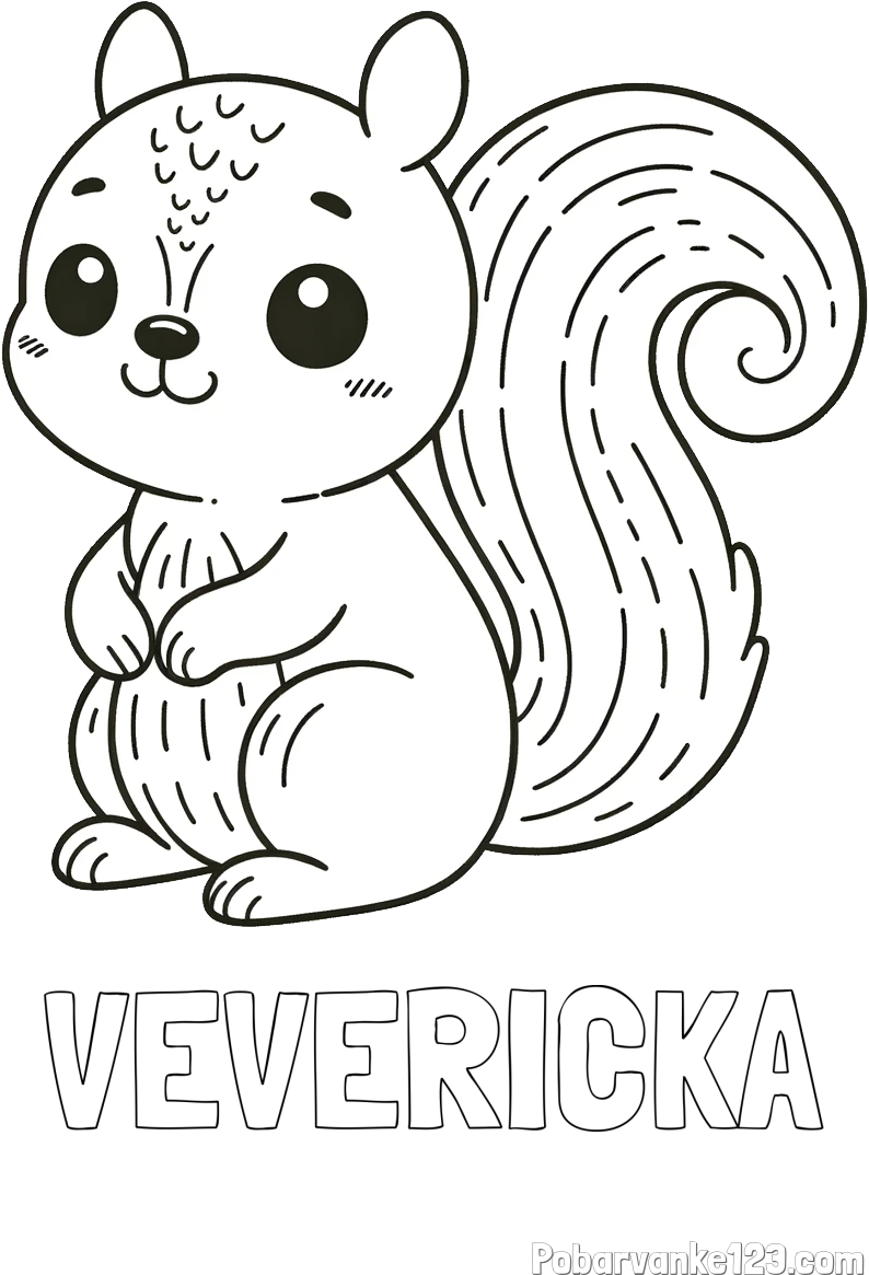 Pobarvanka imena VEVERIČKA in otroška pobarvanka veveričke