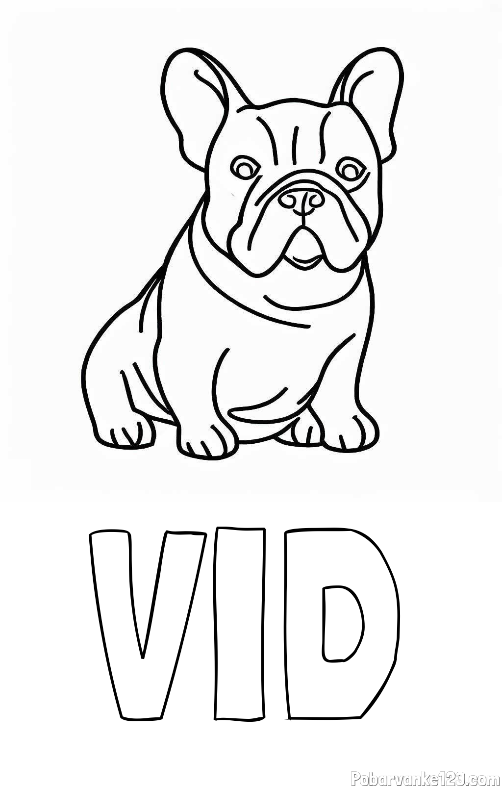 Pobarvanka imena VID in pobarvanka francoskega buldoga