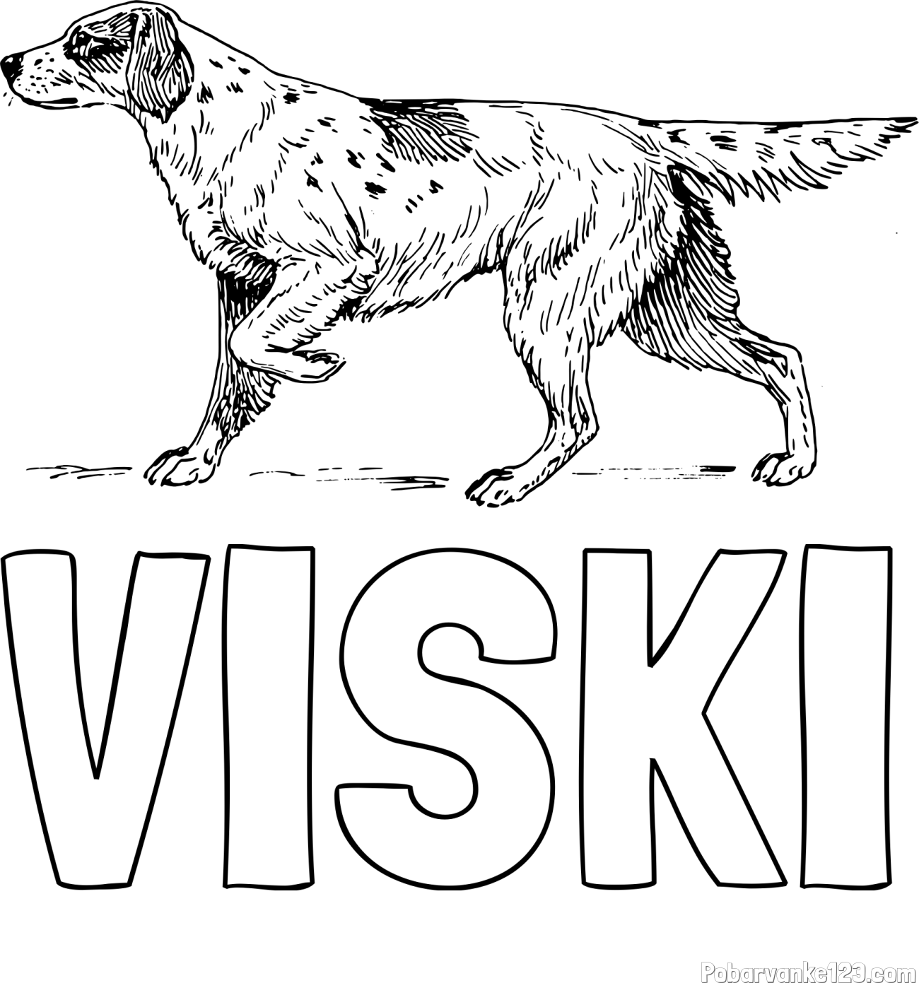 Pobarvanka imena VISKI in pobarvanka lovskega psa na lovu