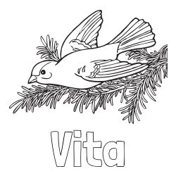 Pobarvanka imena Vita