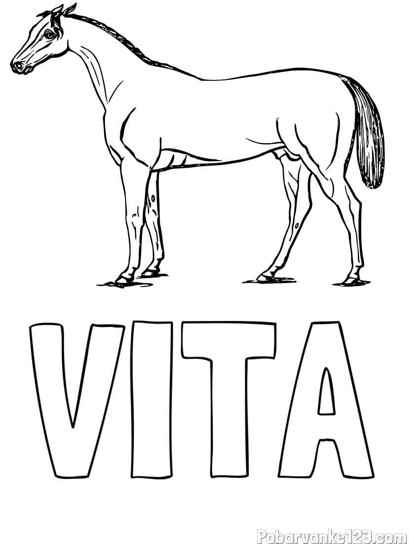 Pobarvanka imena VITA in pobarvanka konja