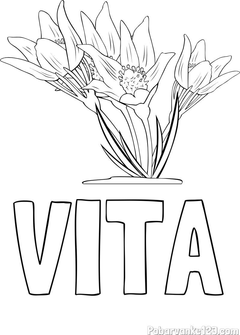 Pobarvanka imena VITA in pobarvanka lepe rože