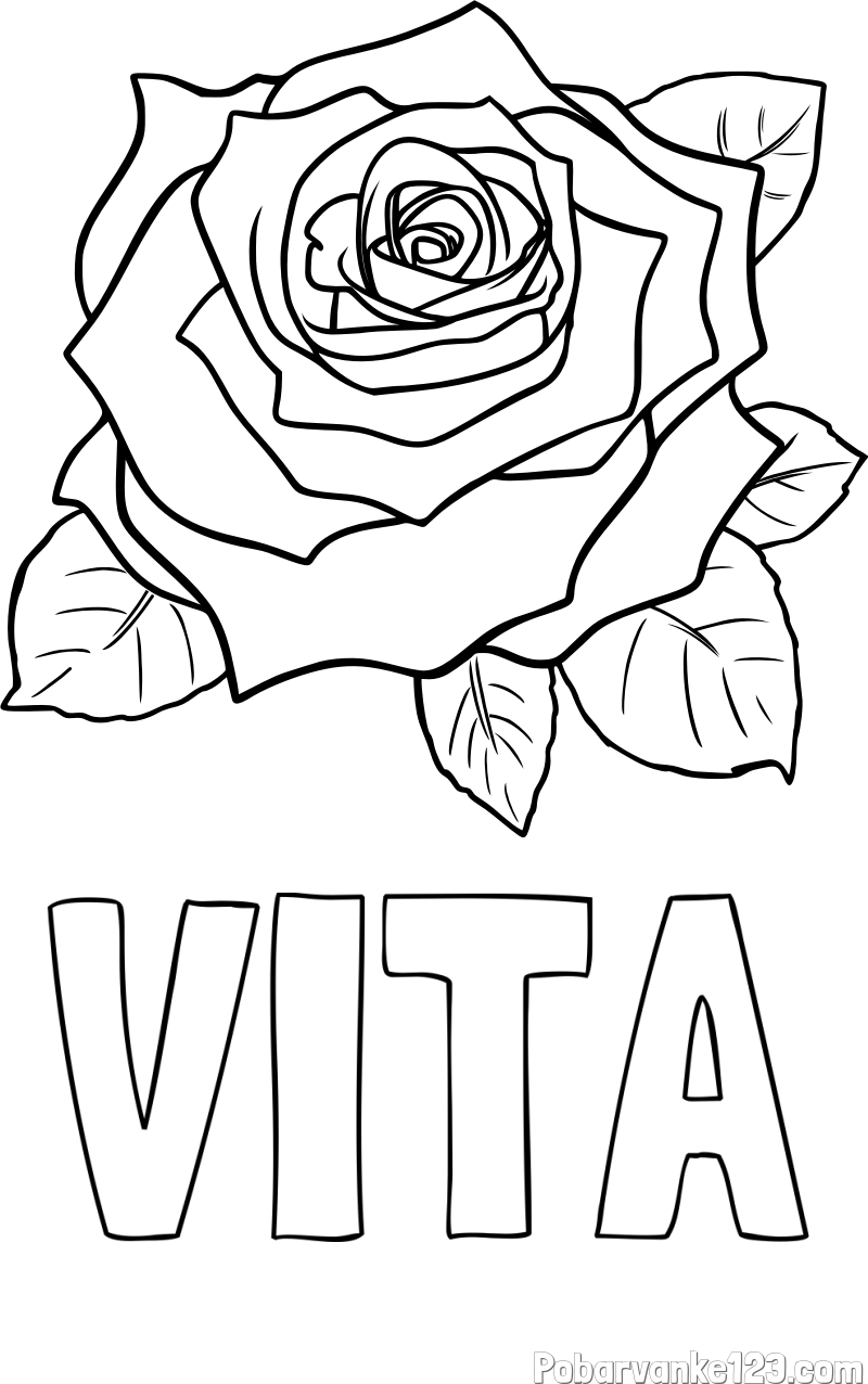 Pobarvanka imena VITA in pobarvanka vrtnice