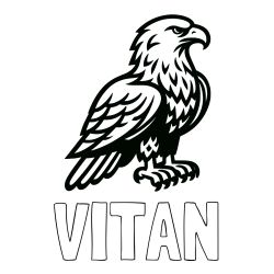 Pobarvanka imena VITAN